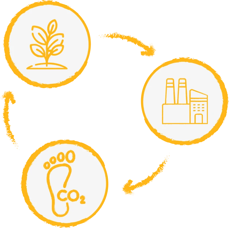 Medio ambiente Glutal SA