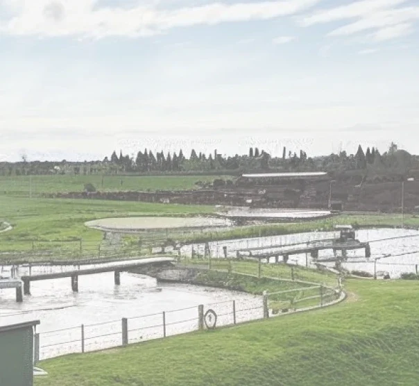 Medio ambiente Glutal SA